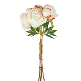 21" Peonies , Bundle of 3 - Gaines Jewelers