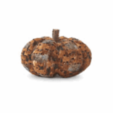 6.5 Inch Orange & Brown Feather Pumpkin w/Twig Stem - K&K Interiors - Gaines Jewelers