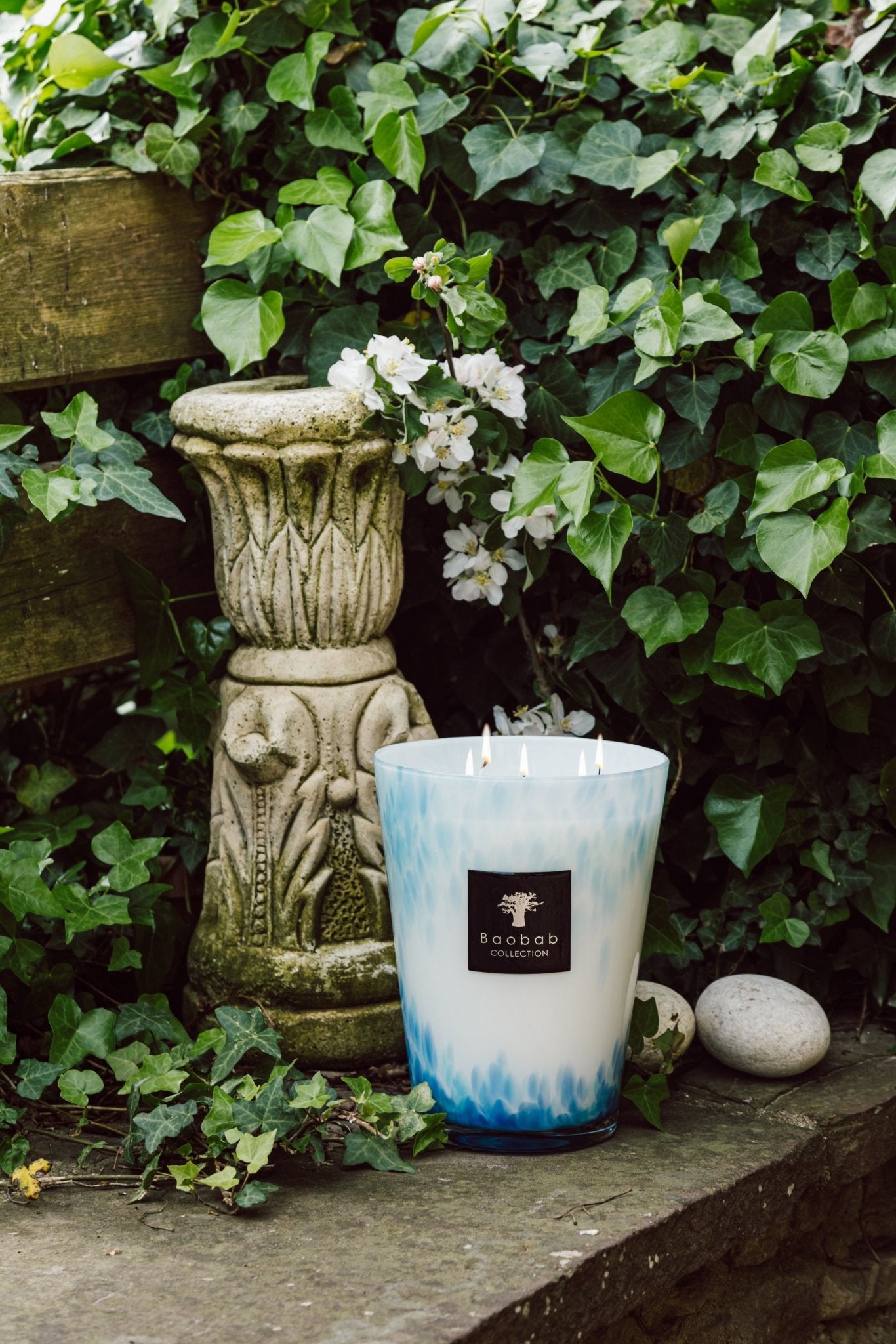 Baobab Candle - Eden Seaside (Max 10) - Gaines Jewelers