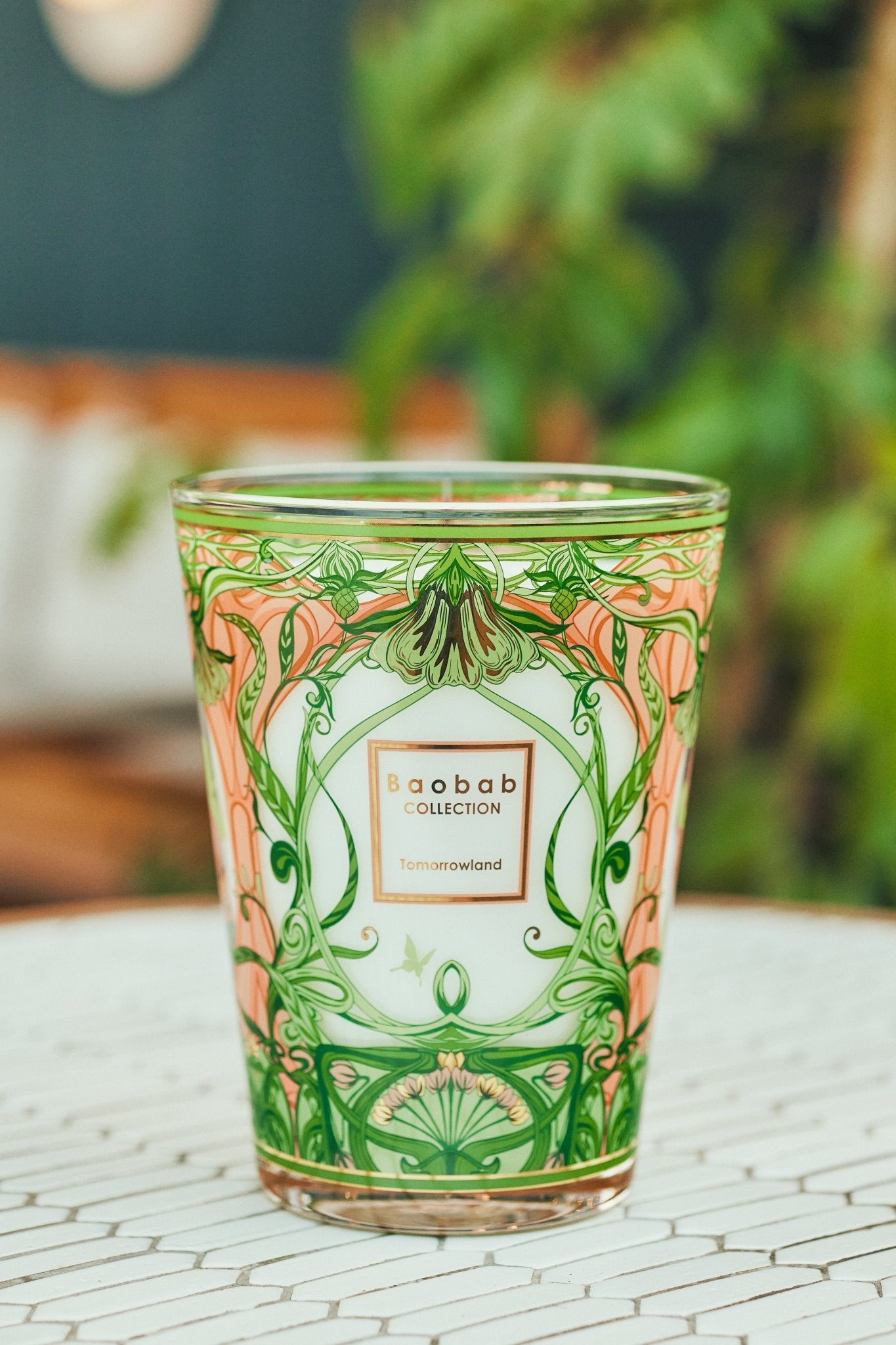 Baobab Candle - Tomorrowland (Max 10) - Gaines Jewelers