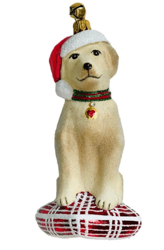 Buddy the Dog Ornament - JingleNog - Gaines Jewelers
