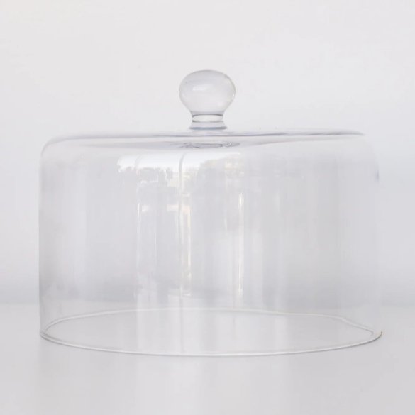 Cake Dome - Gaines Jewelers