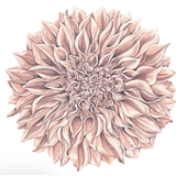 Die - Cut Dahlia Placemat - Hester & Cook - Gaines Jewelers