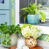 Hydrangea Signature Candle - Greenleaf Gifts - Gaines Jewelers
