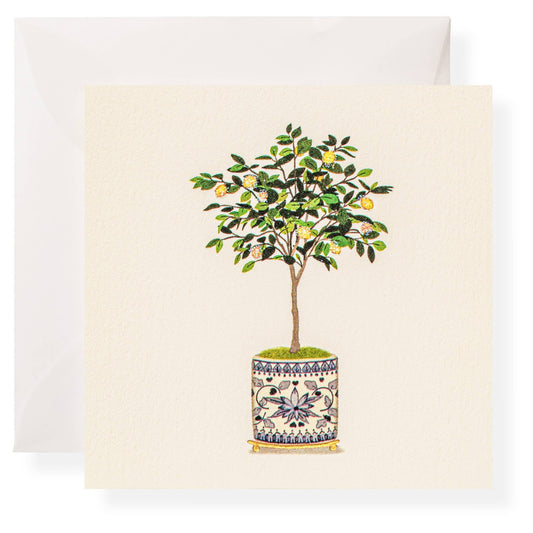 Karen Adams Designs - Lemon Tree Individual Gift Enclosure - Gaines Jewelers