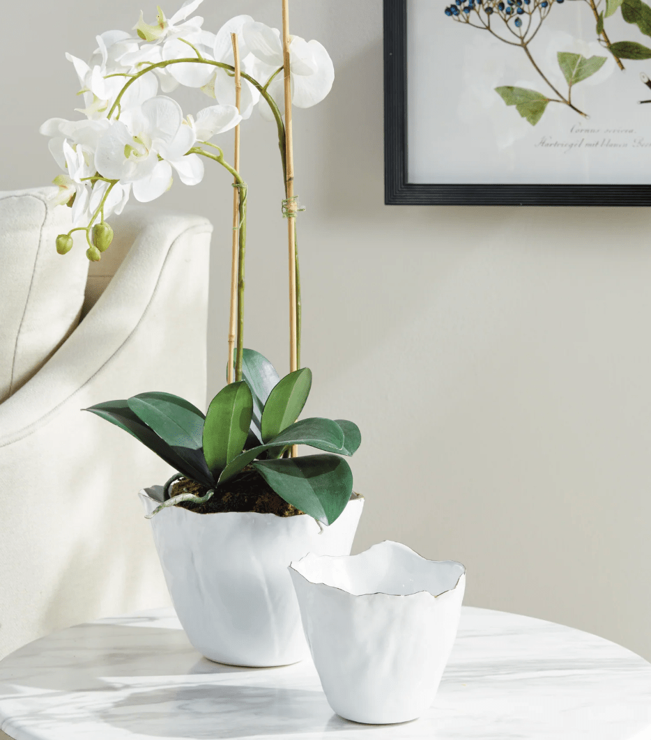 Mirabella Cahepot 7.5" - Napa Home & Garden - Gaines Jewelers