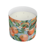 Orange Blossom 3 - Wick Candle - Annapolis Candle - Gaines Jewelers