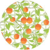 Orange Grove Die - Cut Placemat - Caspari - Gaines Jewelers
