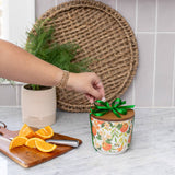 Orange & Honey Patterned 3 Wick Candle - Greenleaf Gifts - Gaines Jewelers