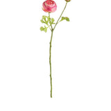 21" Ranunculus Stem - Gaines Jewelers