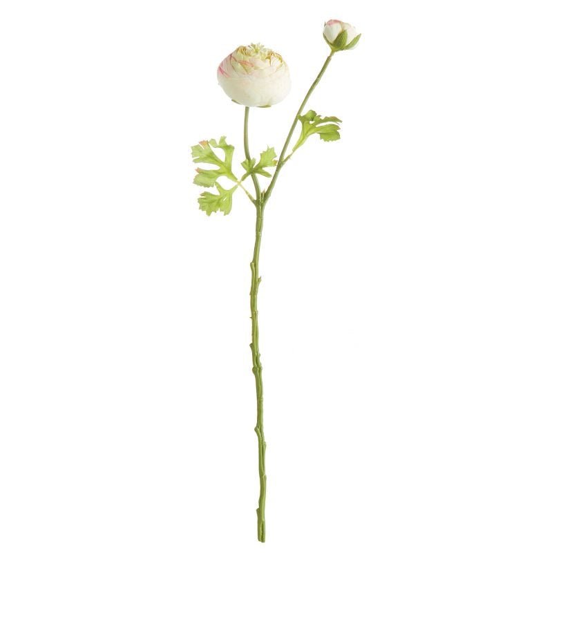 21" Ranunculus Stem - Gaines Jewelers