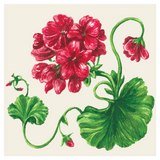 Geranium Cocktail Napkins - Gaines Jewelers