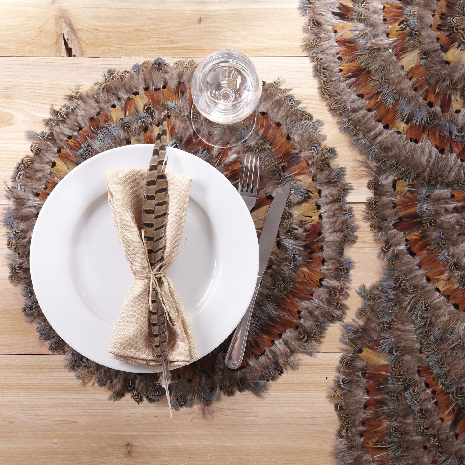 Pheasant Park Set of 4 Round Decorative Mats - Pheasant Feathers - Gaines Jewelers