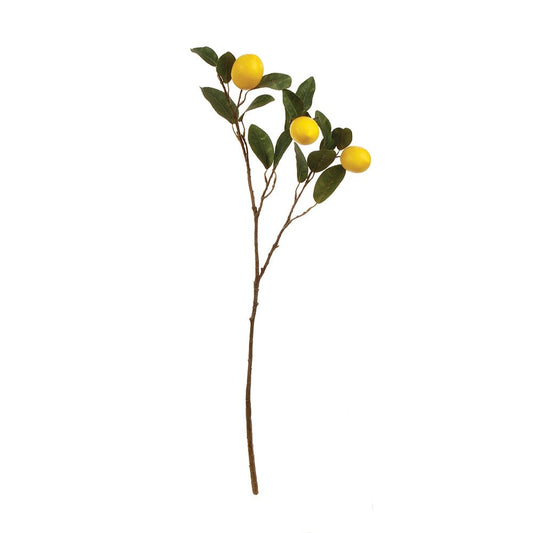 29.5" Lemon Branch - Napa Home & Garden - Gaines Jewelers