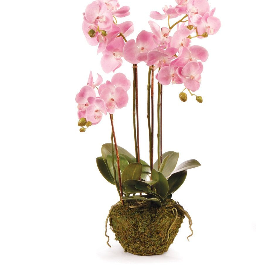 30" Pink Phalaenopsis Drop-In - Napa Home & Garden - Gaines Jewelers