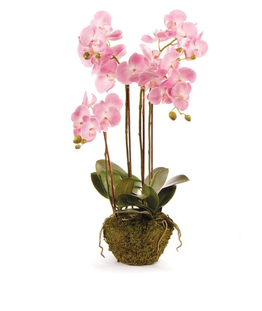 30" Pink Phalaenopsis Drop-In - Napa Home & Garden - Gaines Jewelers