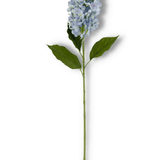 38.5 Inch Blue Cone Hydrangea Stem - K&K Interiors - Gaines Jewelers