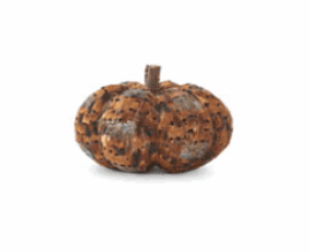 6.5 Inch Orange & Brown Feather Pumpkin w/Twig Stem - K&K Interiors - Gaines Jewelers