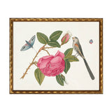 Birds, flowers and insects bookplate on a light background L: Barnwood Frame 310-400 Ee / 20" X 16" - Antique Curiosities Inc