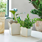 Gracie Scarlett Square Cachepot Planter White - 8 inch - Jaye's Studio