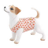 Jack Russell Terrier in Rust - Herend