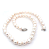 Akoya pearls strand of 8 - 8.5mm in 14t white gold by Mastoloni - Gaines Jewelers