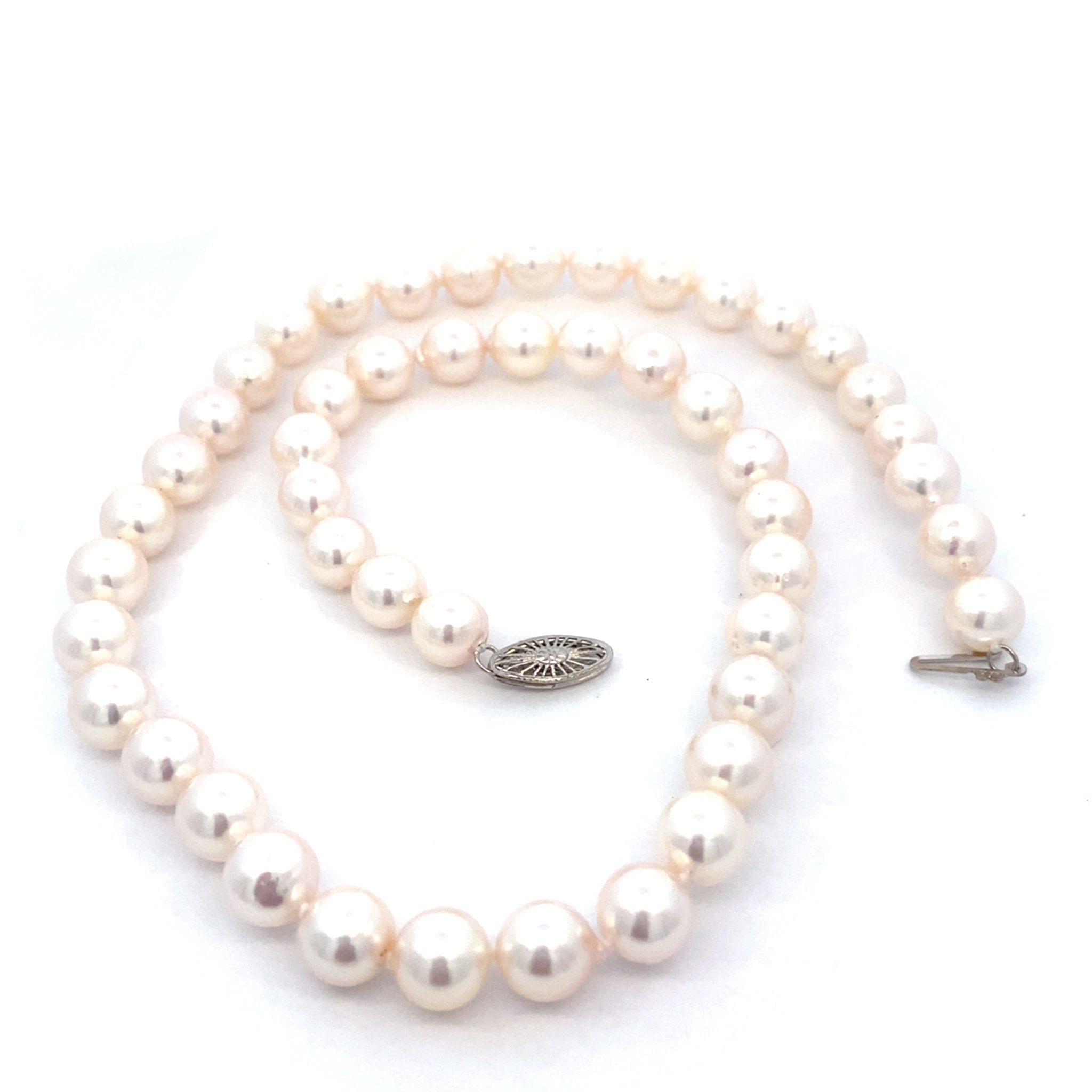 Akoya pearls strand of 8 - 8.5mm in 14t white gold by Mastoloni - Gaines Jewelers