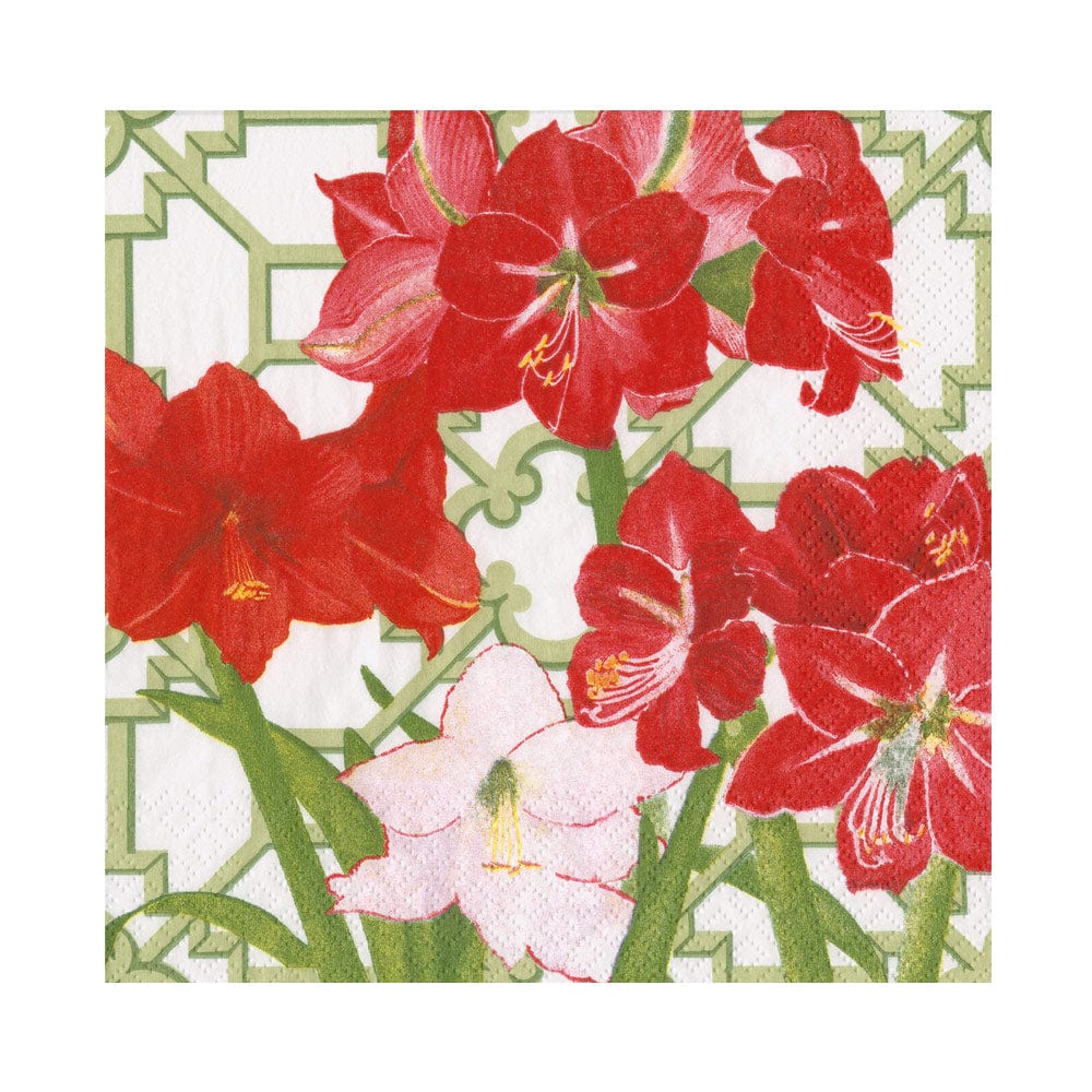 Amaryllis Conservatory Luncheon Napkins - Caspari - Gaines Jewelers
