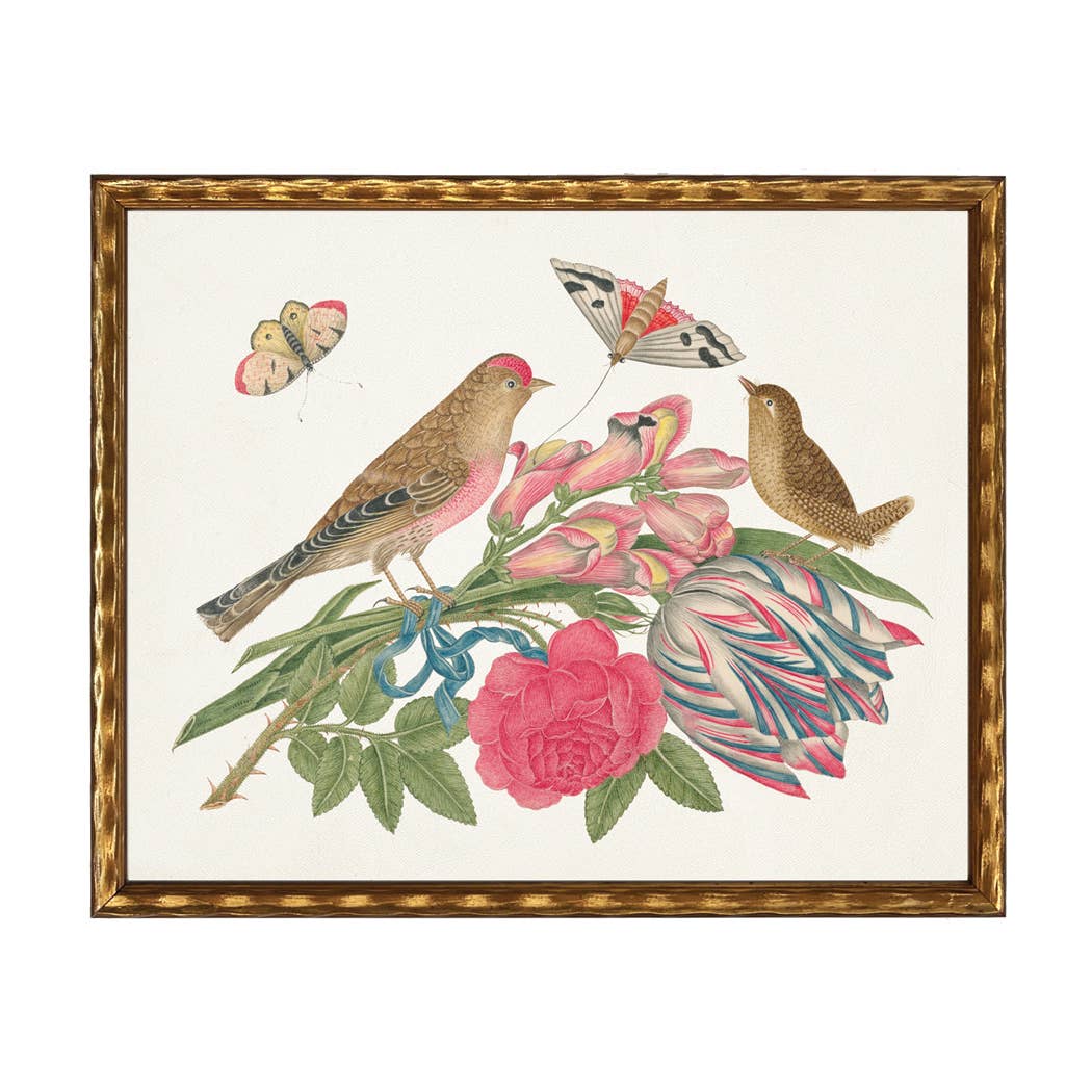 Birds, flowers and insects bookplate on a light background O: Barnwood Frame 310-400 Ee / 20" X 16" - Antique Curiosities Inc - Gaines Jewelers