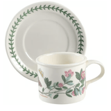 * Botanic Garden Drum Flat Cup & Saucer Set - Rhododendron - Portmeirio - Gaines Jewelers