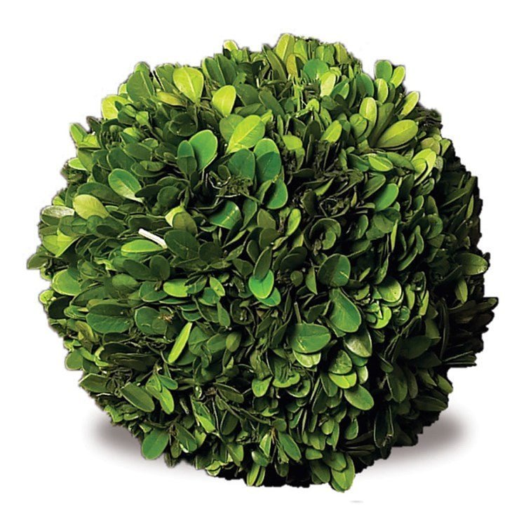 Boxwood Ball 6" - Napa Home & Garden - Gaines Jewelers