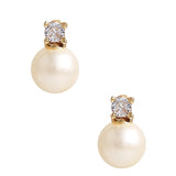 Carolyn Small Rhinestone and Pearl Stud - Belle of the Ball - Lisi Lerch - Gaines Jewelers