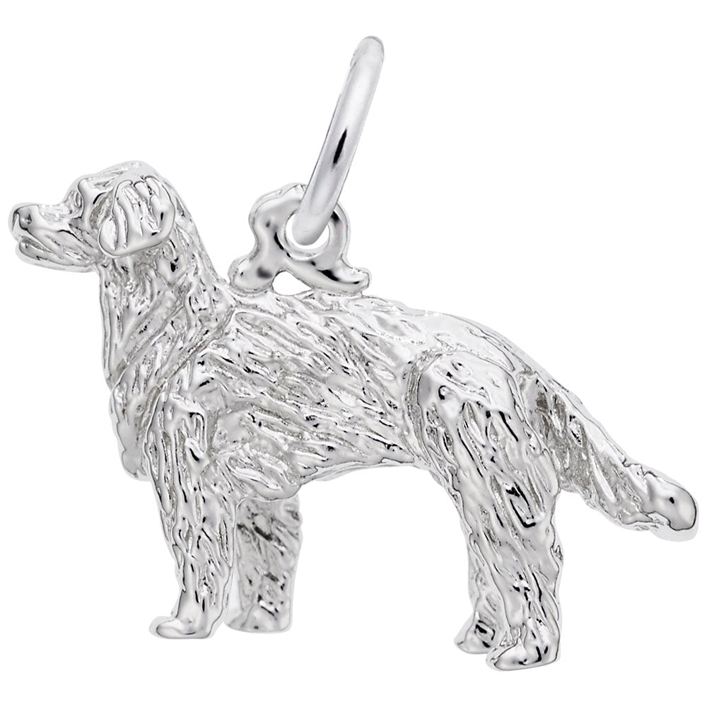 Charm Golden Retriever - Rembrandt Charms - Gaines Jewelers