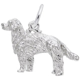 Charm Golden Retriever - Rembrandt Charms - Gaines Jewelers