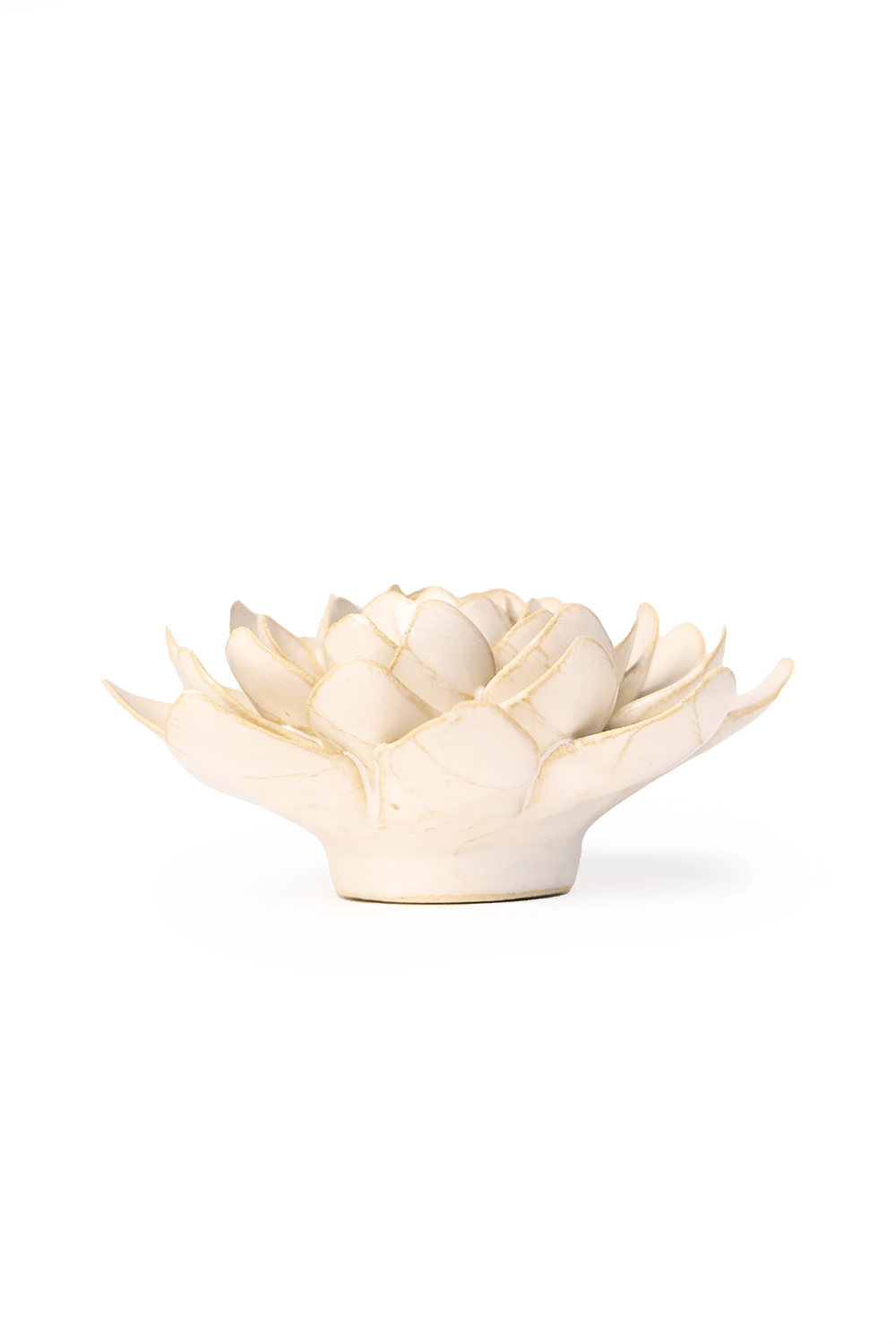 Chive - Ceramic Flower Wall Accessories Ivory Snowdrop - Gaines Jewelers