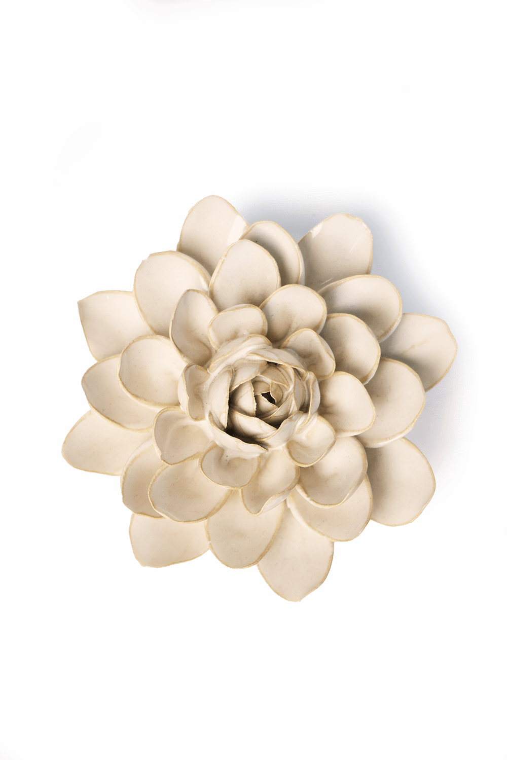 Chive - Ceramic Flower Wall Accessories Ivory Snowdrop - Gaines Jewelers