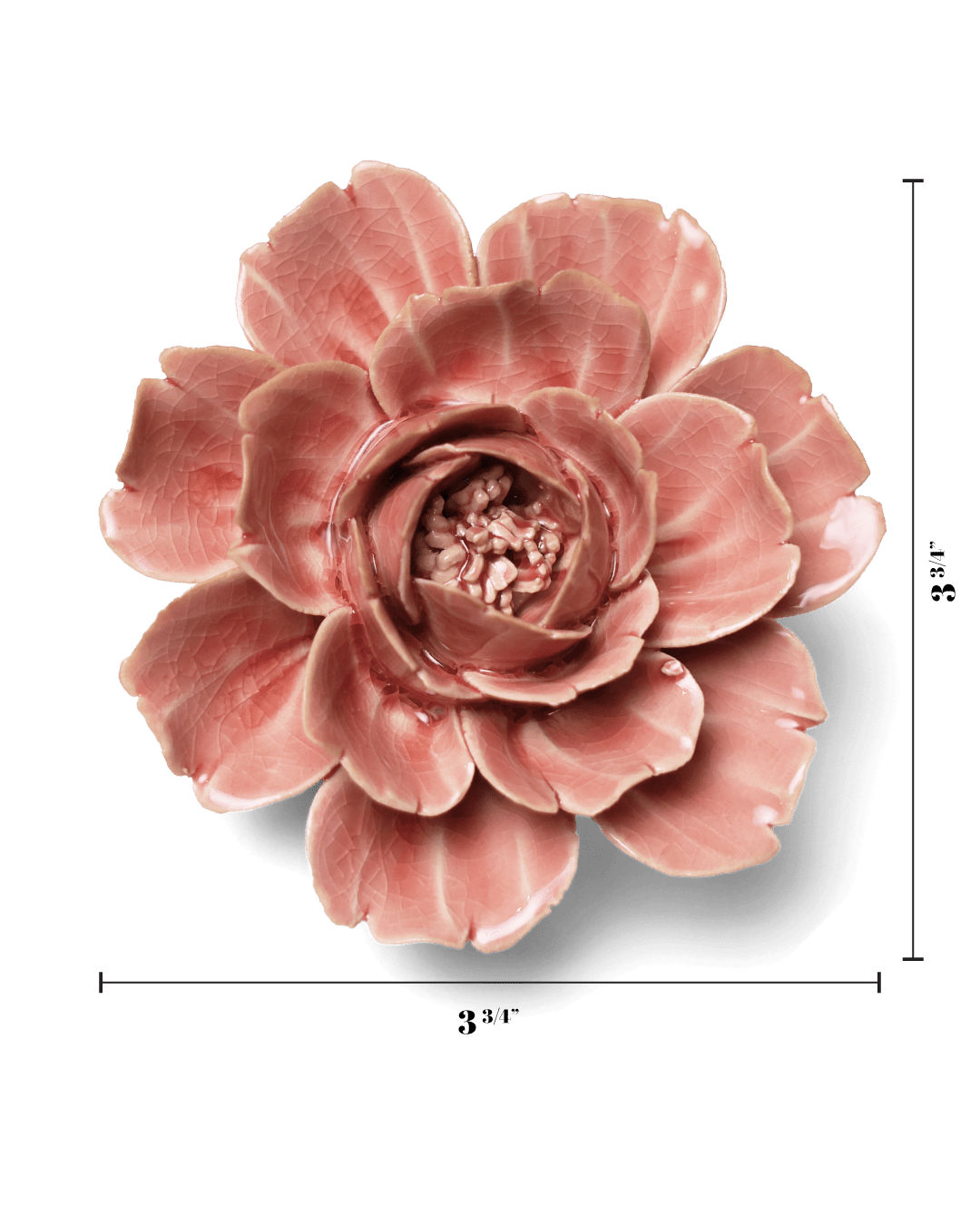 Chive - Christmas 2026 Ceramic Flowers Gift Box Home Decor: Champagne Pink Rose - Gaines Jewelers