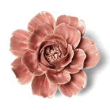 Chive - Christmas 2026 Ceramic Flowers Gift Box Home Decor: Champagne Pink Rose - Gaines Jewelers