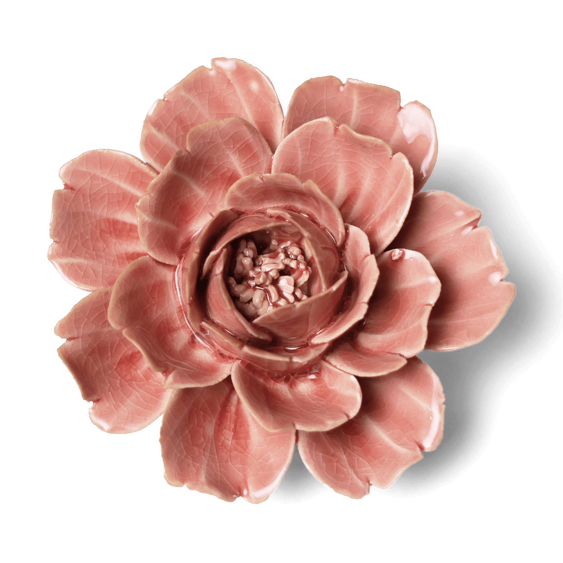 Chive - Christmas 2026 Ceramic Flowers Gift Box Home Decor: Champagne Pink Rose - Gaines Jewelers