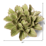 Chive - Peridot Sorbet Peony Ceramic Flowers - Boho Gift Decor - Gaines Jewelers