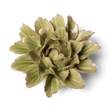 Chive - Peridot Sorbet Peony Ceramic Flowers - Boho Gift Decor - Gaines Jewelers