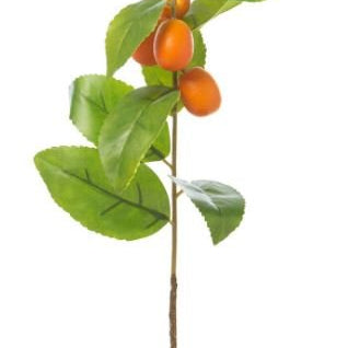 Crafted Kumquat Stem - Park Hill - Gaines Jewelers
