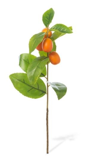 Crafted Kumquat Stem - Park Hill - Gaines Jewelers