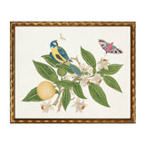 Birds, flowers and insects bookplate on a light background N: Barnwood Frame 310-400 Ee / 20" X 16" - Antique Curiosities Inc