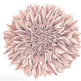 Die - Cut Dahlia Placemat - Hester & Cook - Gaines Jewelers
