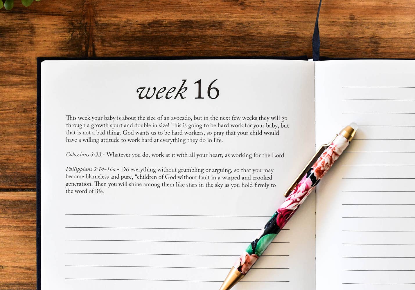Duncan & Stone Paper Co. - Dear Baby: A Pregnancy Prayer Journal & Memory Book for Moms: Ivory - Gaines Jewelers