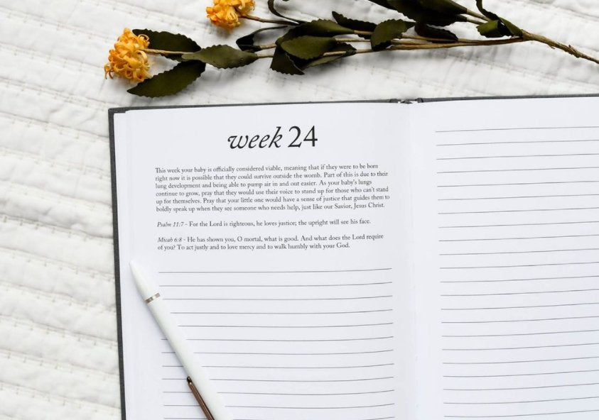 Duncan & Stone Paper Co. - Dear Baby: A Pregnancy Prayer Journal & Memory Book for Moms: Ivory - Gaines Jewelers