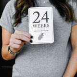 Duncan & Stone Paper Co. - Pregnancy Milestone Cards | Baby Announcement & Reveal - Gaines Jewelers