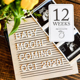 Duncan & Stone Paper Co. - Pregnancy Milestone Cards | Baby Announcement & Reveal - Gaines Jewelers
