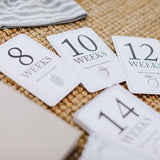 Duncan & Stone Paper Co. - Pregnancy Milestone Cards | Baby Announcement & Reveal - Gaines Jewelers